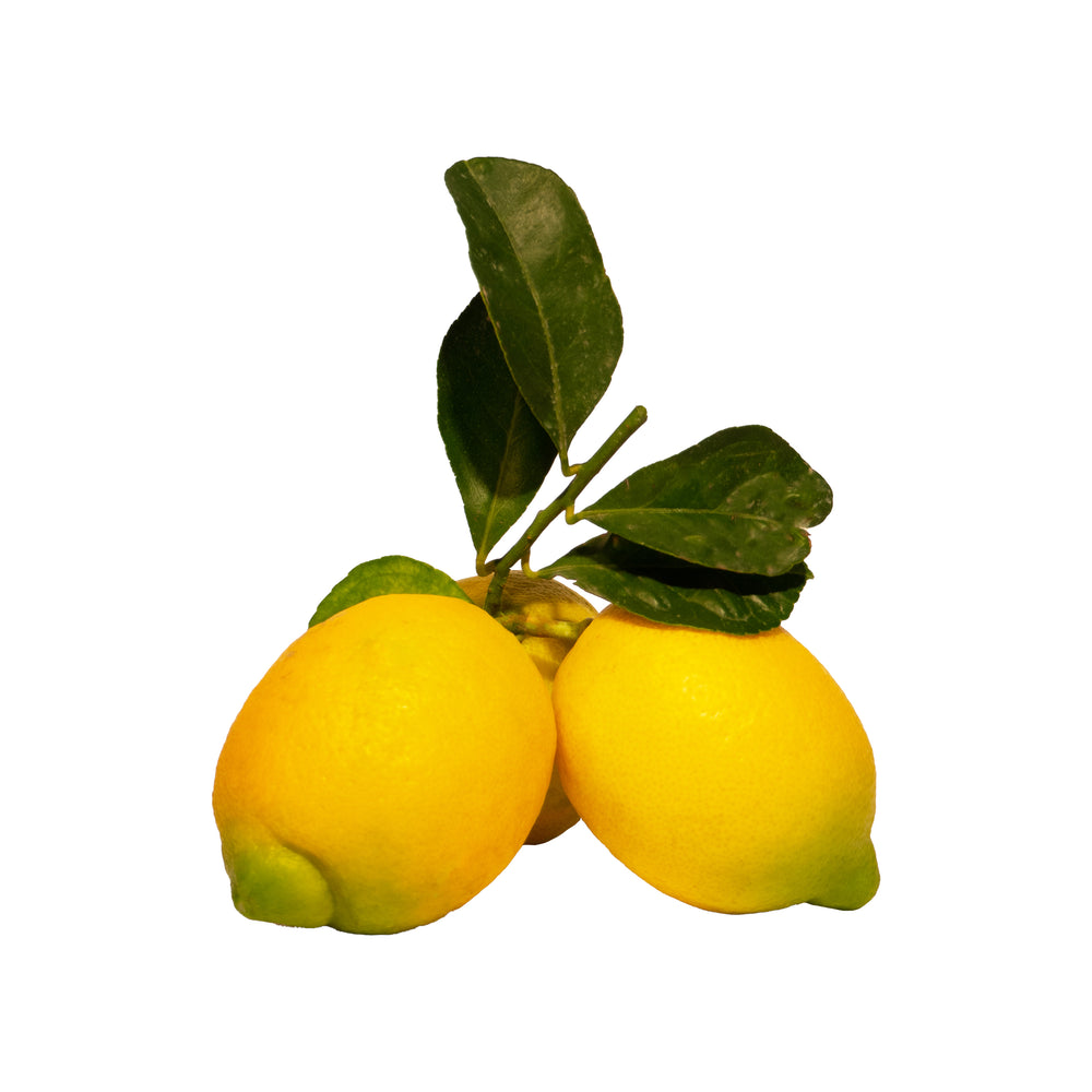 Limoni con foglia Biologici (1Kg)